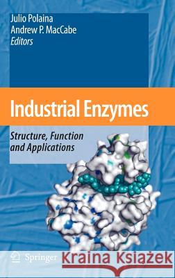 Industrial Enzymes: Structure, Function and Applications Polaina, Julio 9781402053764 Springer - książka