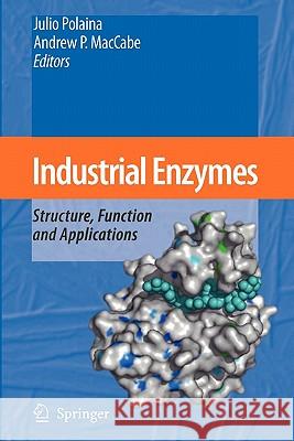Industrial Enzymes: Structure, Function and Applications Polaina, Julio 9789048173549 Springer - książka