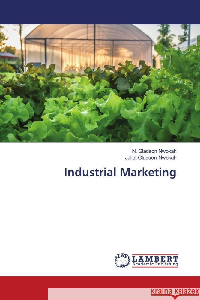 Industrial Marketing N. Gladson Nwokah Juliet Gladson-Nwokah 9786207456772 LAP Lambert Academic Publishing - książka