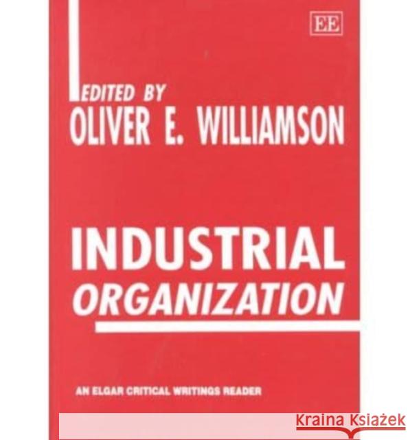 Industrial Organization  9781858984889 Edward Elgar Publishing Ltd - książka