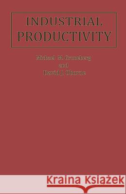 Industrial Productivity: A Psychological Perspective Gruneberg, M. M. 9780333281604 Palgrave MacMillan - książka