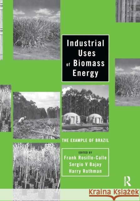 Industrial Uses of Biomass Energy: The Example of Brazil Frank Rosillo-Calle Sergio V. Bajay Harry Rothman 9780367398866 CRC Press - książka