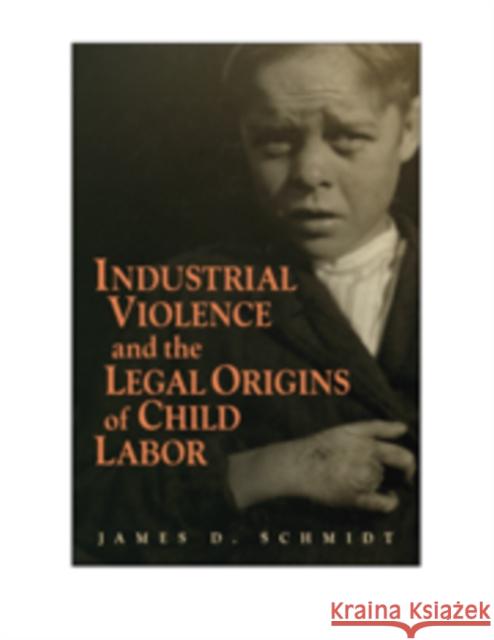 Industrial Violence and the Legal Origins of Child Labor James D. Schmidt (Northern Illinois University) 9780521198653 Cambridge University Press - książka