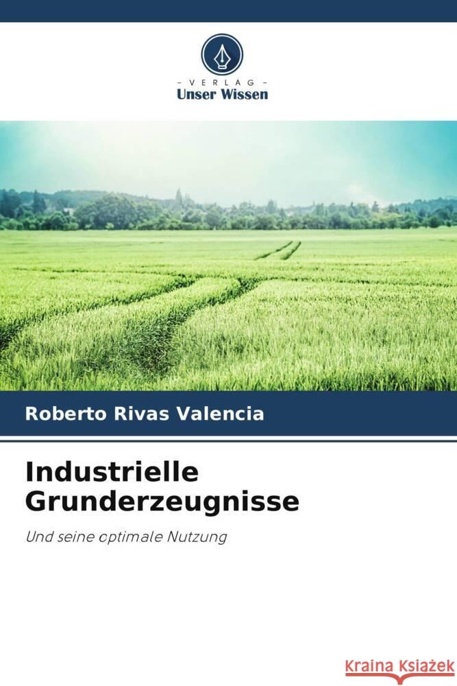 Industrielle Grunderzeugnisse Roberto Riva 9786207515981 Verlag Unser Wissen - książka