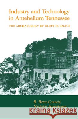 Industry Technology: Antebellum Tennessee Council, R. Bruce 9780870497445 University of Tennessee Press - książka