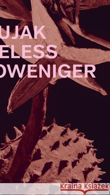 Ines Doujak  9783735609229 Kerber Verlag - książka