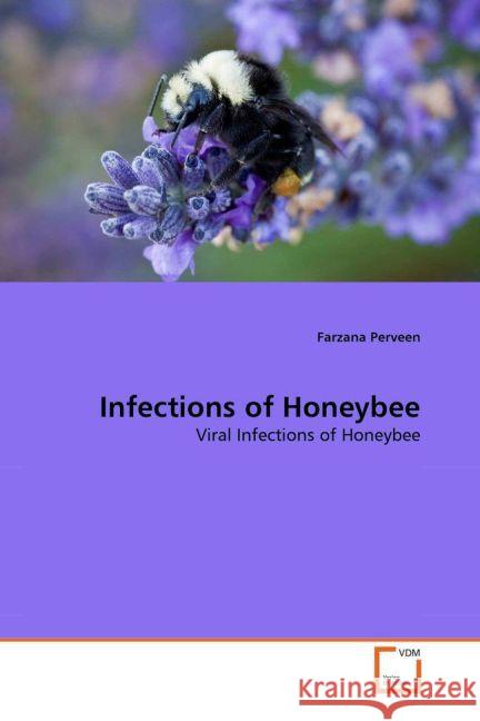 Infections of Honeybee : Viral Infections of Honeybee Perveen, Farzana 9783639379181 VDM Verlag Dr. Müller - książka