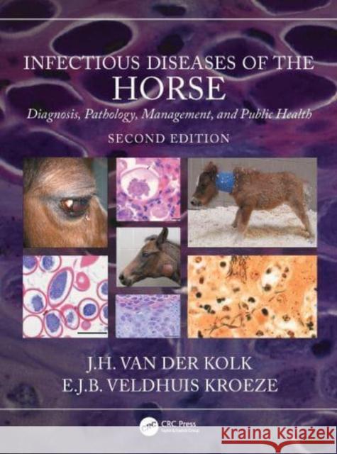 Infectious Diseases of the Horse: Diagnosis, Pathology, Management, and Public Health Van Der Kolk, J. H. 9781032054285 Taylor & Francis Ltd - książka