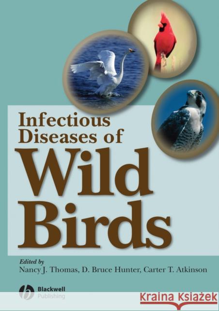 Infectious Diseases of Wild Birds Nancy J. Thomas Carter T. Atkinson D. Bruce Hunter 9780813828121 Blackwell Publishing Professional - książka
