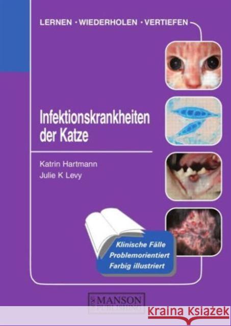 Infektionskrankheiten Der Katze Hartmann, Katrin 9781840761825 Manson Publishing Ltd - książka