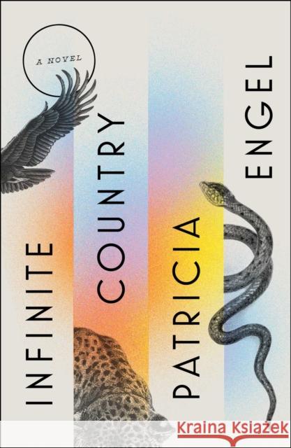 Infinite Country Patricia Engel 9781982159467 Avid Reader Press / Simon & Schuster - książka