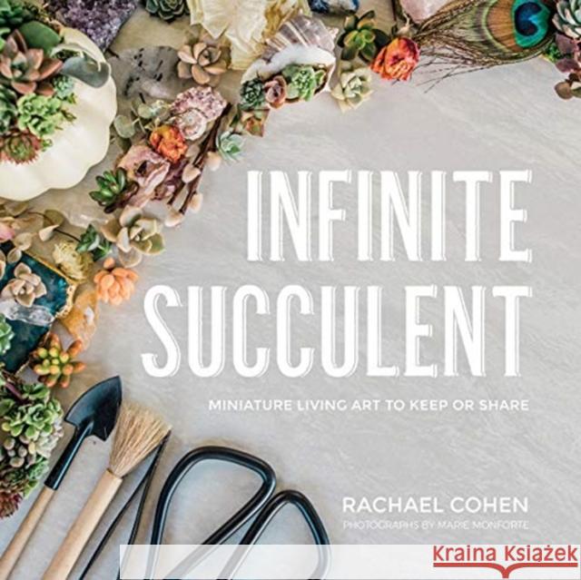 Infinite Succulent: Miniature Living Art to Keep or Share Rachael Cohen 9781682683422 Countryman Press - książka