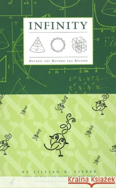 Infinity: Beyond the Beyond the Beyond Lillian Lieber, Barry Mazur 9781589880368 Paul Dry Books, Inc - książka
