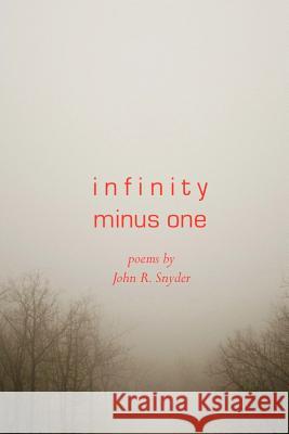 Infinity Minus One John R. Snyder 9781523603442 Createspace Independent Publishing Platform - książka