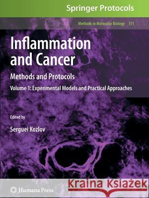 Inflammation and Cancer: Methods and Protocols: Volume 1, Experimental Models and Practical Approaches Kozlov, Serguei V. 9781617379239 Humana Press - książka