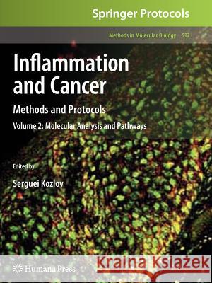 Inflammation and Cancer: Methods and Protocols: Volume 2, Molecular Analysis and Pathways Kozlov, Serguei V. 9781617379055 Humana Press Inc. - książka