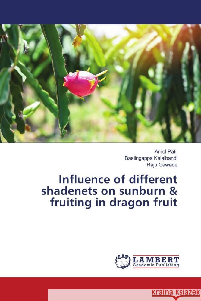 Influence of different shadenets on sunburn & fruiting in dragon fruit Amol Patil Baslingappa Kalalbandi Raju Gawade 9786207485819 LAP Lambert Academic Publishing - książka