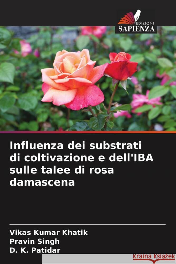 Influenza dei substrati di coltivazione e dell'IBA sulle talee di rosa damascena Vikas Kuma Pravin Singh D. K. Patidar 9786207520923 Edizioni Sapienza - książka