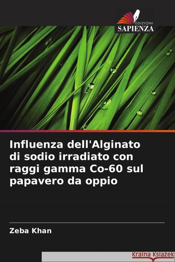 Influenza dell'Alginato di sodio irradiato con raggi gamma Co-60 sul papavero da oppio Khan, Zeba 9786208321741 Edizioni Sapienza - książka