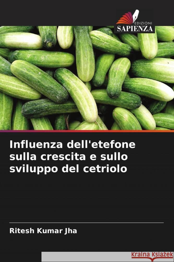 Influenza dell'etefone sulla crescita e sullo sviluppo del cetriolo Jha, Ritesh Kumar 9786204765099 Edizioni Sapienza - książka