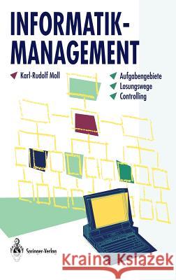 Informatik-Management: Aufgabengebiete - Lösungswege - Controlling Denert, E. 9783540574583 Springer - książka