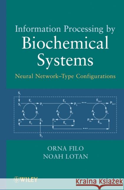 Information Processing Filo, Orna 9780470500941 John Wiley & Sons - książka