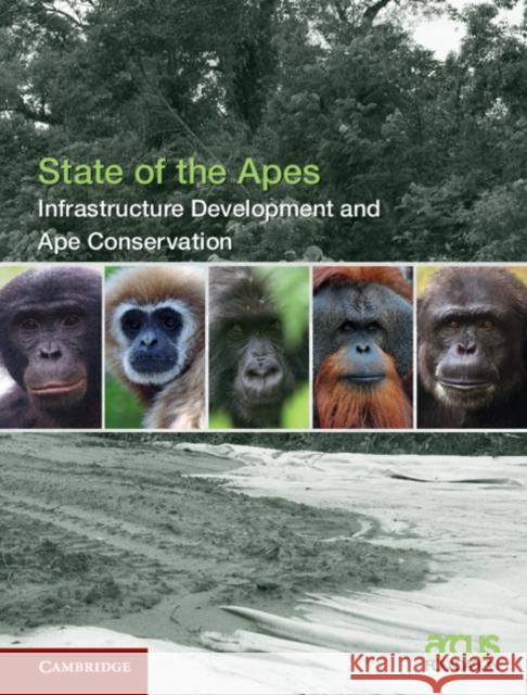 Infrastructure Development and Ape Conservation: Volume 3 Arcus Foundation 9781108423212 Cambridge University Press - książka