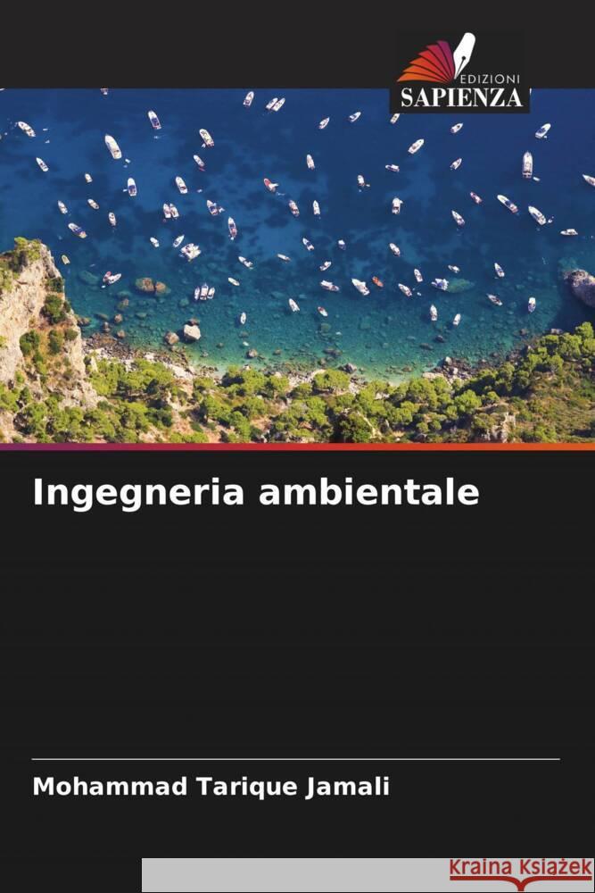 Ingegneria ambientale Mohammad Tarique Jamali 9786207211357 Edizioni Sapienza - książka