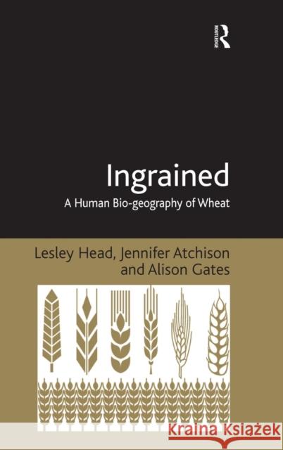Ingrained: A Human Bio-geography of Wheat Head, Lesley 9781409437871 Ashgate Publishing Limited - książka