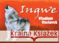 Ingwe Vladimír Václavek 8595026628625 Indies Scope - książka