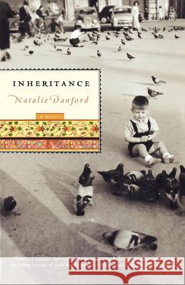 Inheritance Natalie Danford 9780312378431 St. Martin's Griffin - książka