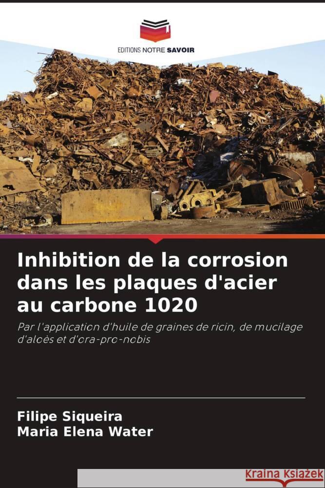 Inhibition de la corrosion dans les plaques d'acier au carbone 1020 Siqueira, Filipe, Water, Maria Elena 9786208181543 Editions Notre Savoir - książka