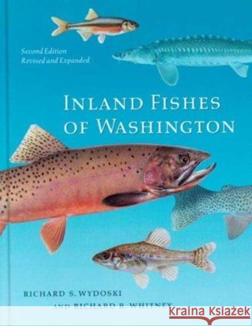 Inland Fishes of Washington: Revised and Expanded Richard S. Wydoski Richard R. Whitney 9780295983387 University of Washington Press - książka