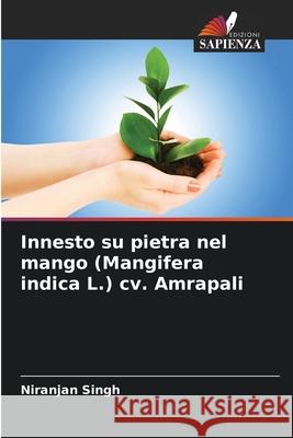 Innesto su pietra nel mango (Mangifera indica L.) cv. Amrapali Singh, Niranjan 9786209320668 Edizioni Sapienza - książka