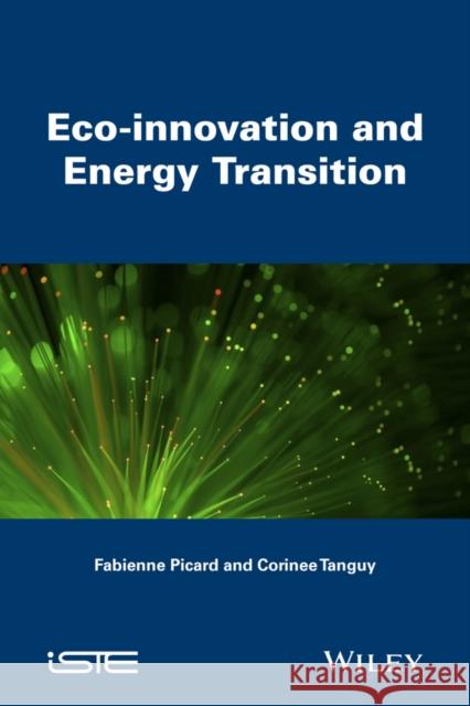 Innovations and Techno-Ecological Transition Picard, Fabienne; Tanguy, Corinne 9781848218765 John Wiley & Sons - książka