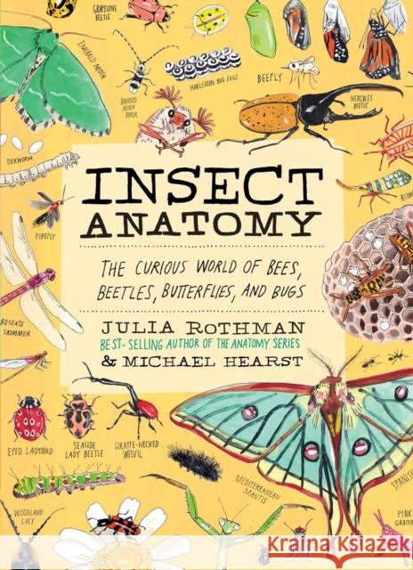 Insect Anatomy: The Curious World of Bees, Beetles, Butterflies, and Bugs Michael Hearst 9781635868784 Storey Publishing - książka