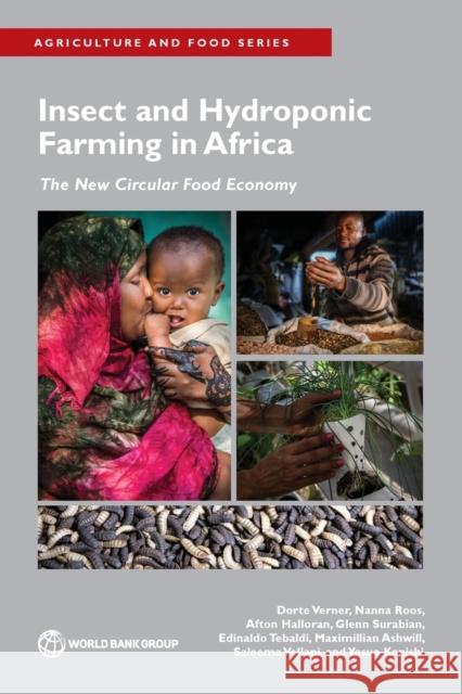 Insect and Hydroponic Farming in Africa Yasuo Konishi 9781464817663 World Bank Publications - książka