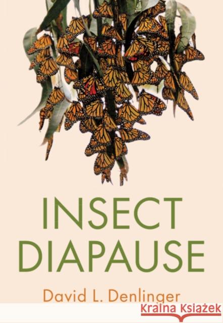 Insect Diapause David L. (Ohio State University) Denlinger 9781108497527 Cambridge University Press - książka