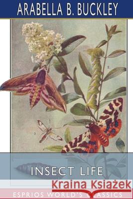 Insect Life (Esprios Classics): Illustrated by Fairfax Muckler Buckley, Arabella B. 9781034406716 Blurb - książka