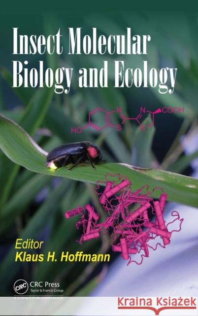 Insect Molecular Biology and Ecology Klaus H. Hoffmann 9781482231885 CRC Press - książka