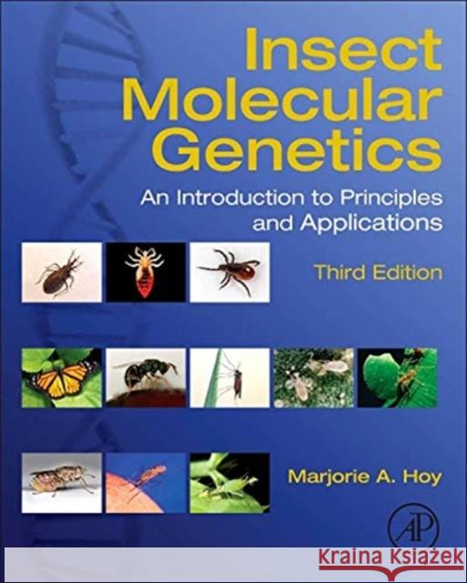 Insect Molecular Genetics: An Introduction to Principles and Applications Marjorie Hoy 9780124158740  - książka