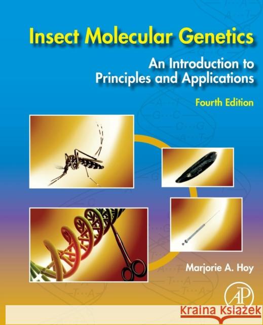 Insect Molecular Genetics: An Introduction to Principles and Applications Hoy, Marjorie A. 9780128152300 Academic Press - książka