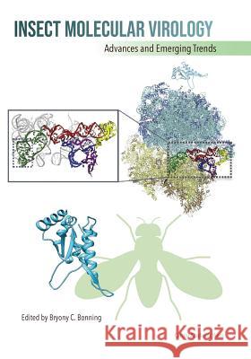 Insect Molecular Virology Bonning, Bryony C. 9781912530083 Caister Academic Press - książka