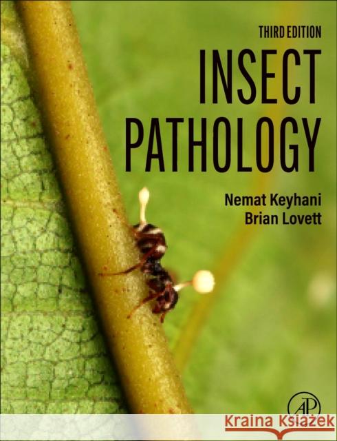 Insect Pathology  9780443135491 Academic Press - książka