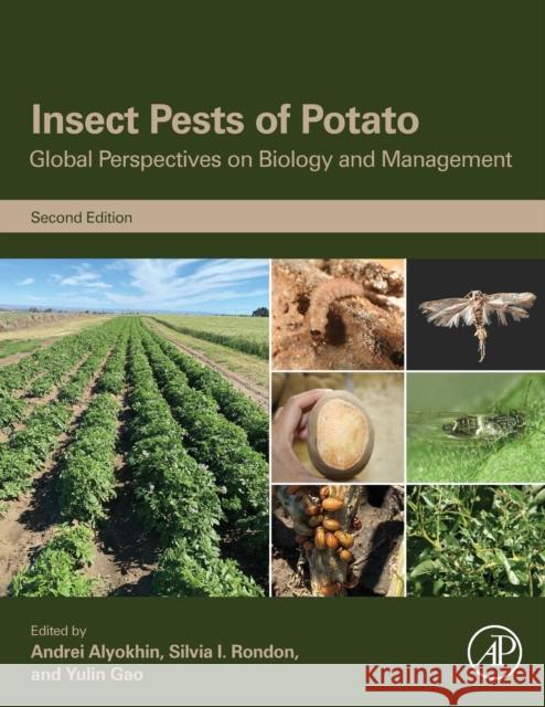 Insect Pests of Potato: Global Perspectives on Biology and Management Andrei Alyokhin Charles Vincent Philippe Giordanengo 9780128212370 Academic Press - książka