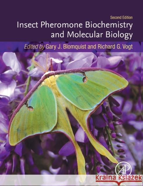 Insect Pheromone Biochemistry and Molecular Biology Gary J. Blomquist Richard G. Vogt 9780128196281 Academic Press - książka