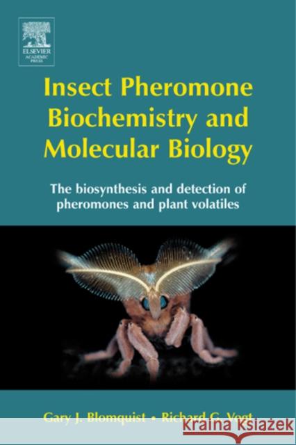 Insect Pheromone Biochemistry and Molecular Biology: The Biosynthesis and Detection of Pheromones and Plant Volatiles Blomquist, Gary 9780121071516 Academic Press - książka