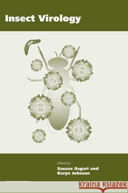 Insect Virology Asgari 9781904455714 Caister Academic Press - książka