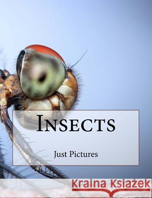Insects Just Pictures 9781546699460 Createspace Independent Publishing Platform - książka