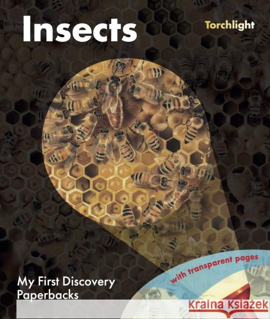 Insects Sabine Krawczyk 9781851037605 Moonlight Publishing Ltd - książka